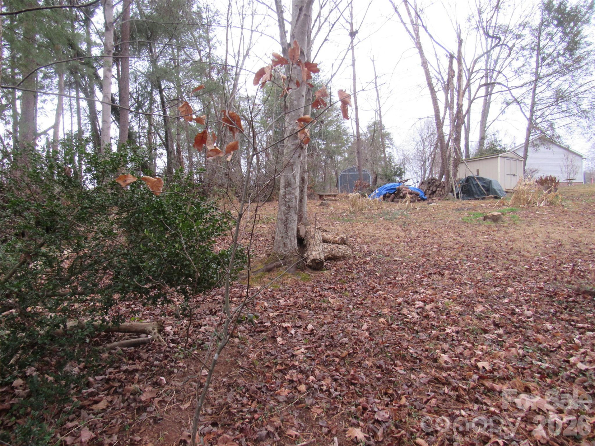 19 Westminster Drive - Photo 34