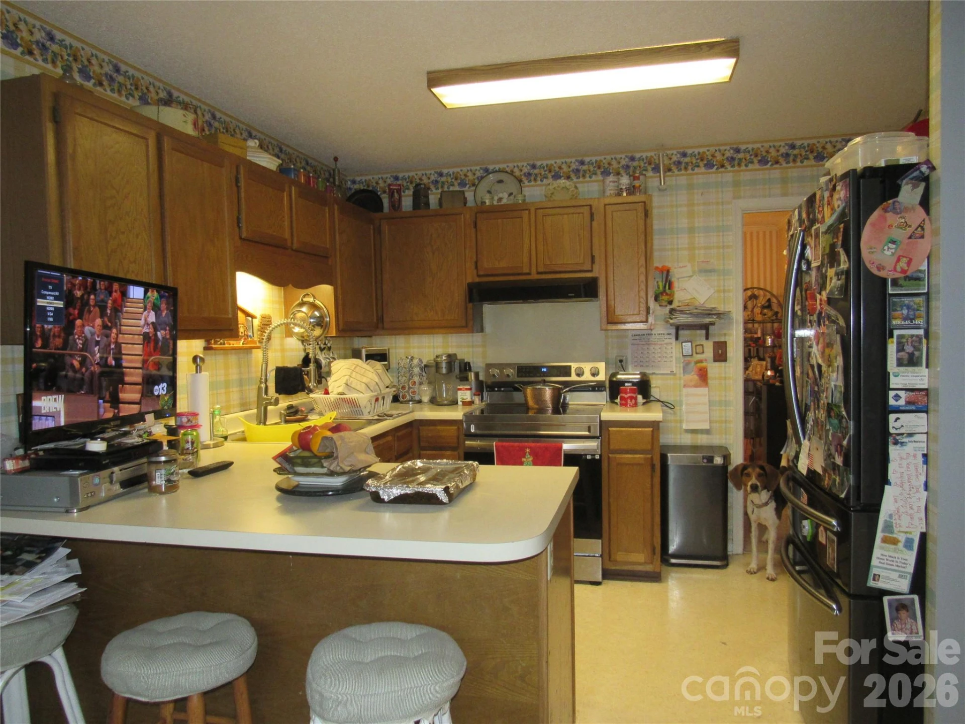 19 Westminster Drive - Photo 42