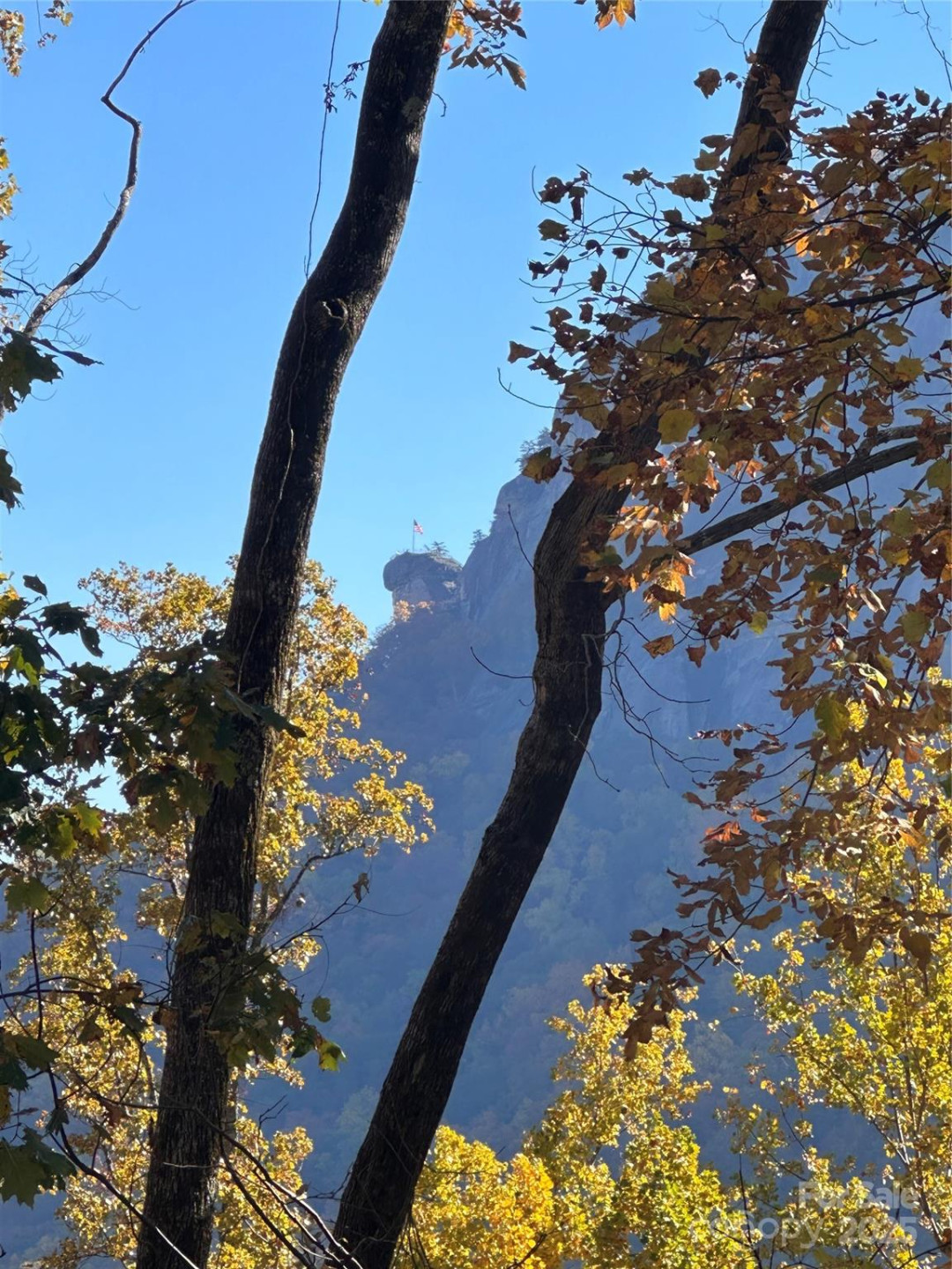 000 Cascada Vista Drive - Photo 3