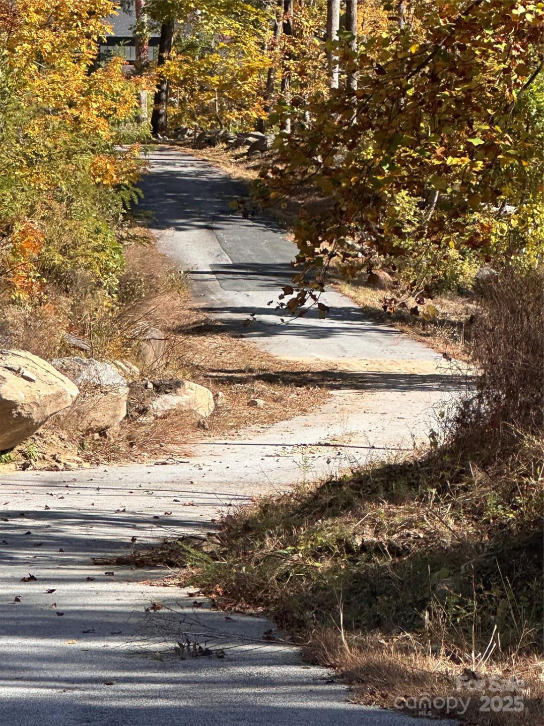 000 Cascada Vista Drive - Photo 4