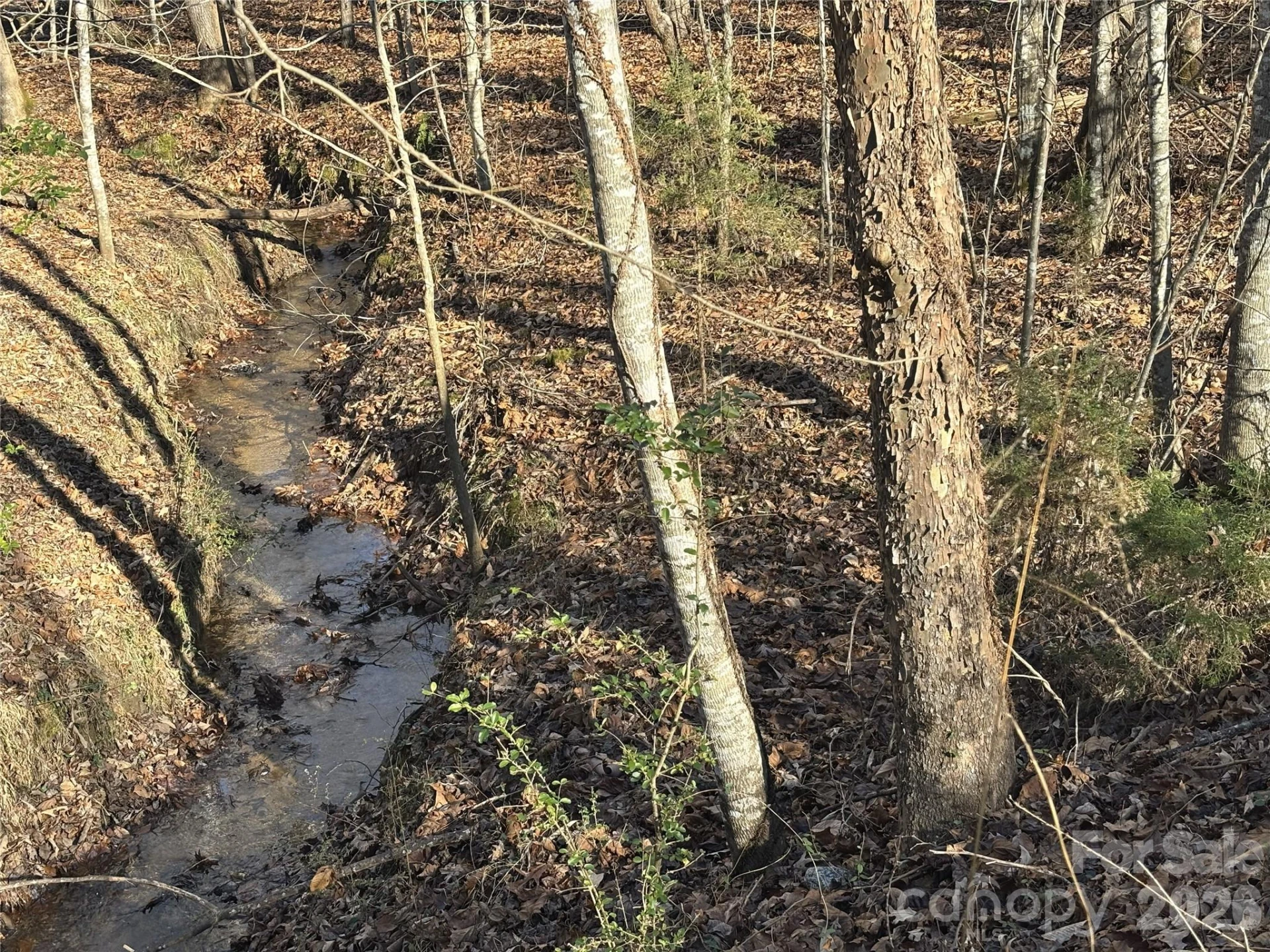 926 Cross Creek Drive - Photo 34