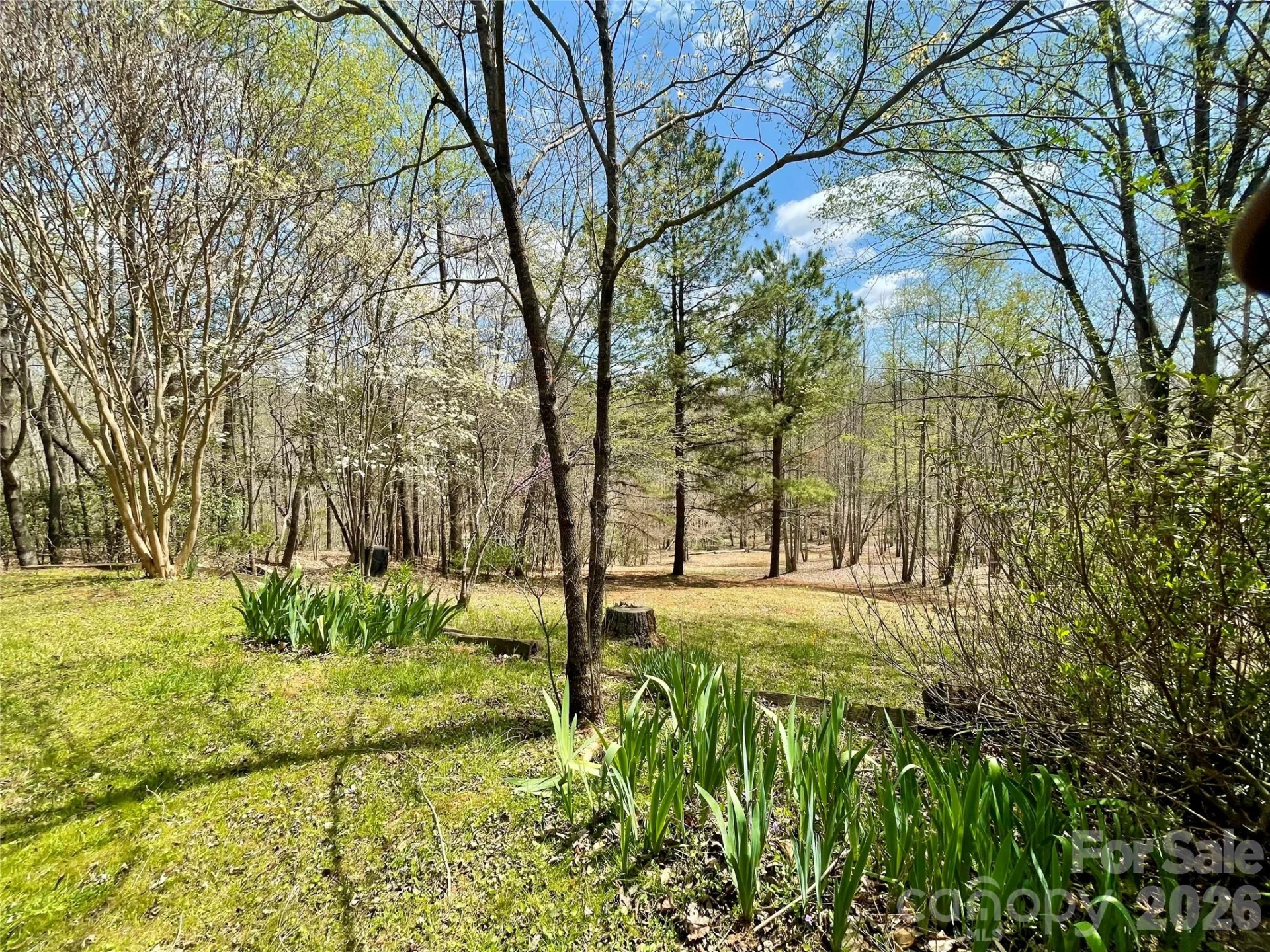 926 Cross Creek Drive - Photo 36
