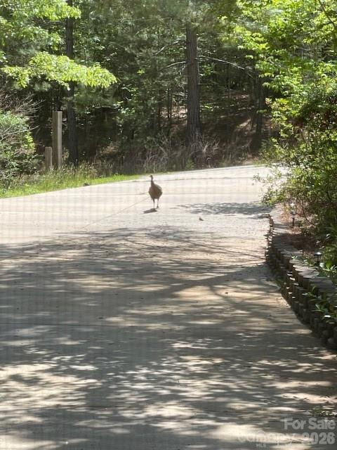 926 Cross Creek Drive - Photo 73