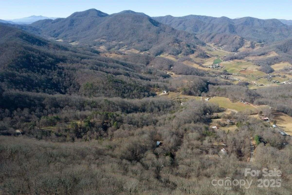 9999 Hookers Gap Road - Photo 3