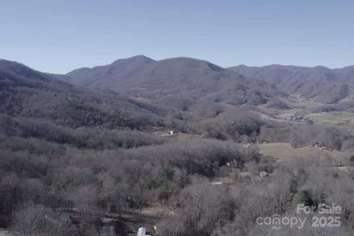9999 Hookers Gap Road - Photo 5