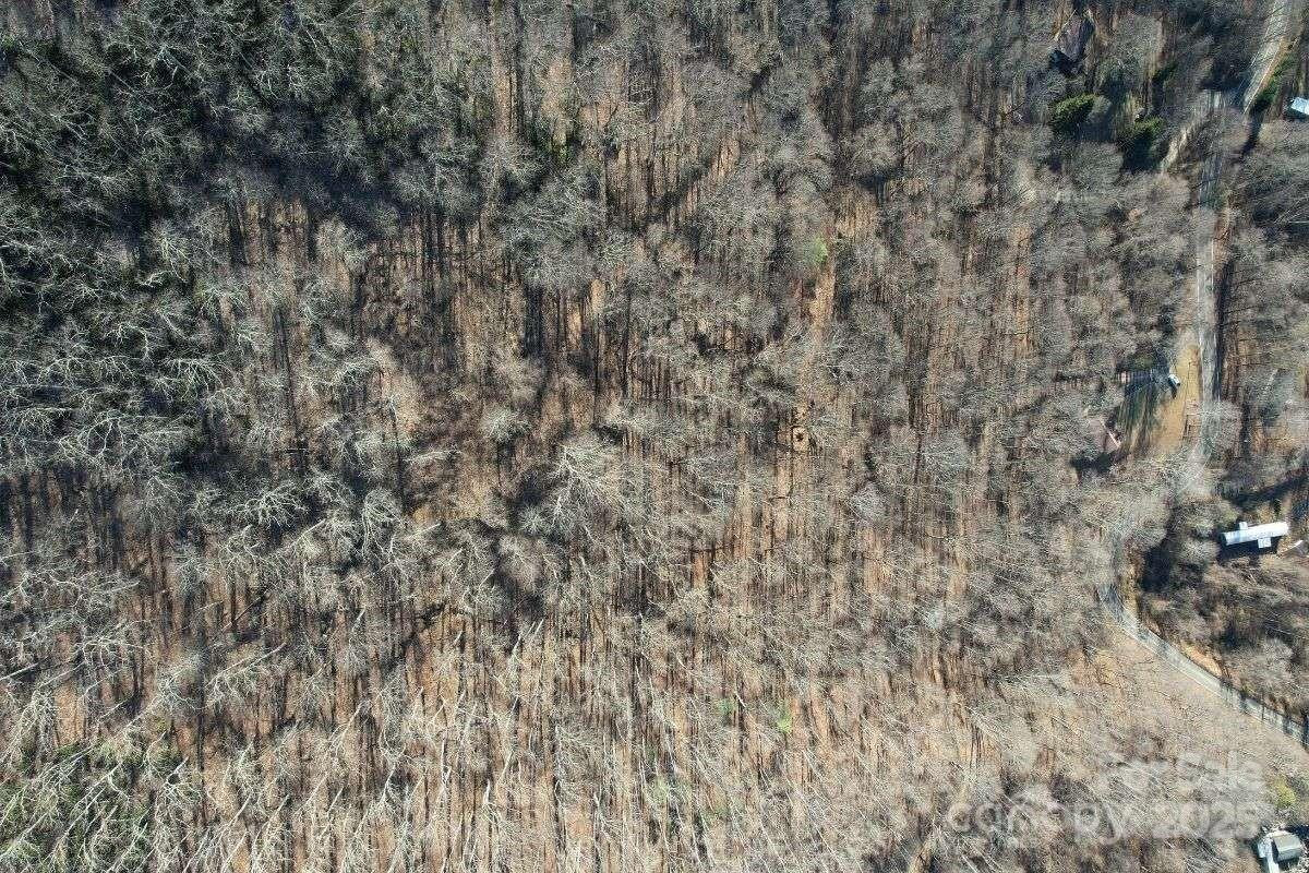 9999 Hookers Gap Road - Photo 6