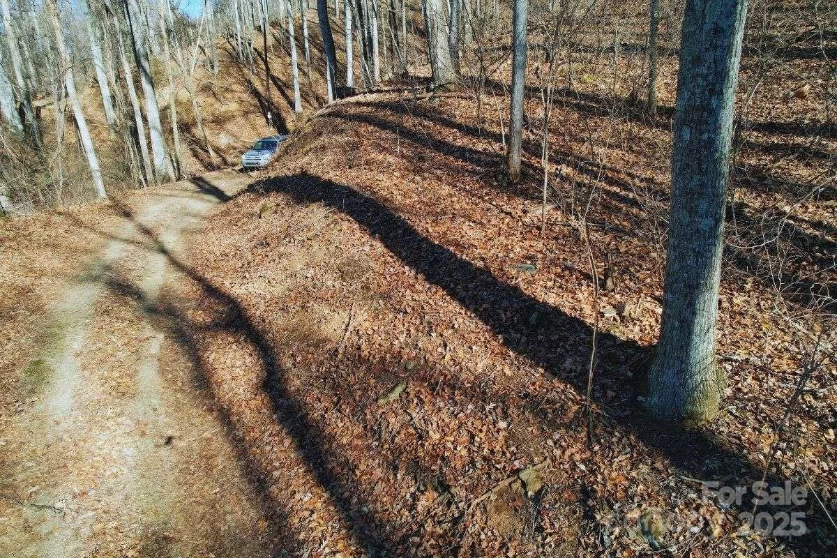 9999 Hookers Gap Road - Photo 7
