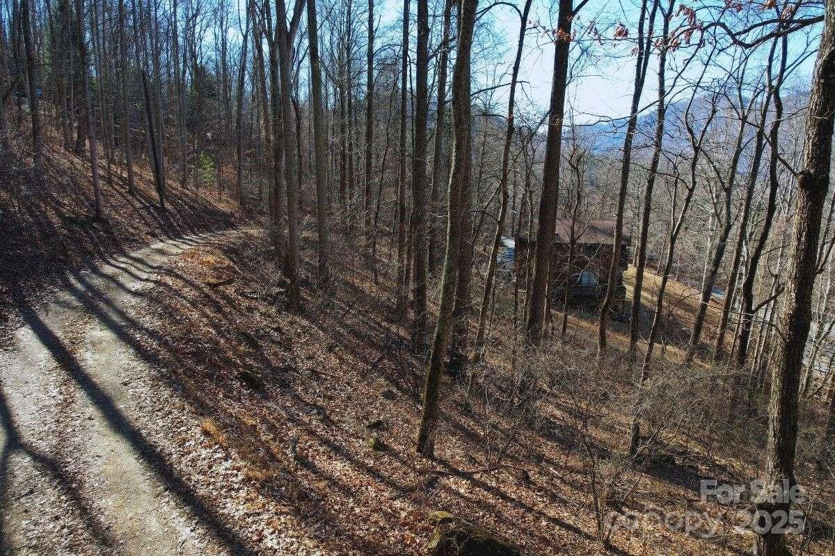 9999 Hookers Gap Road - Photo 8