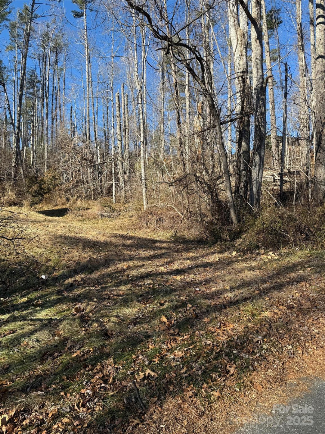 TBD George McKinney Circle - Photo 2