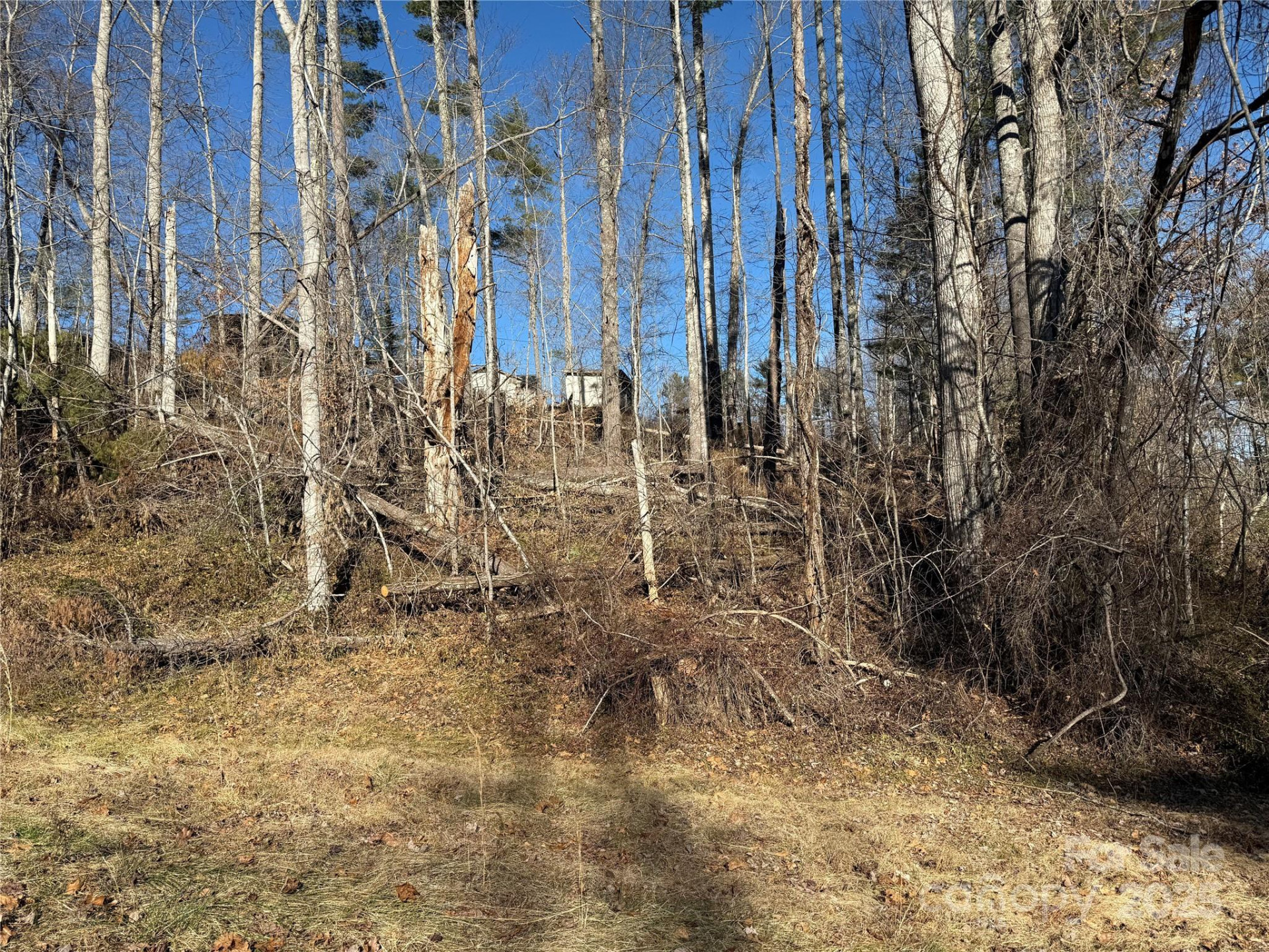 TBD George McKinney Circle - Photo 4
