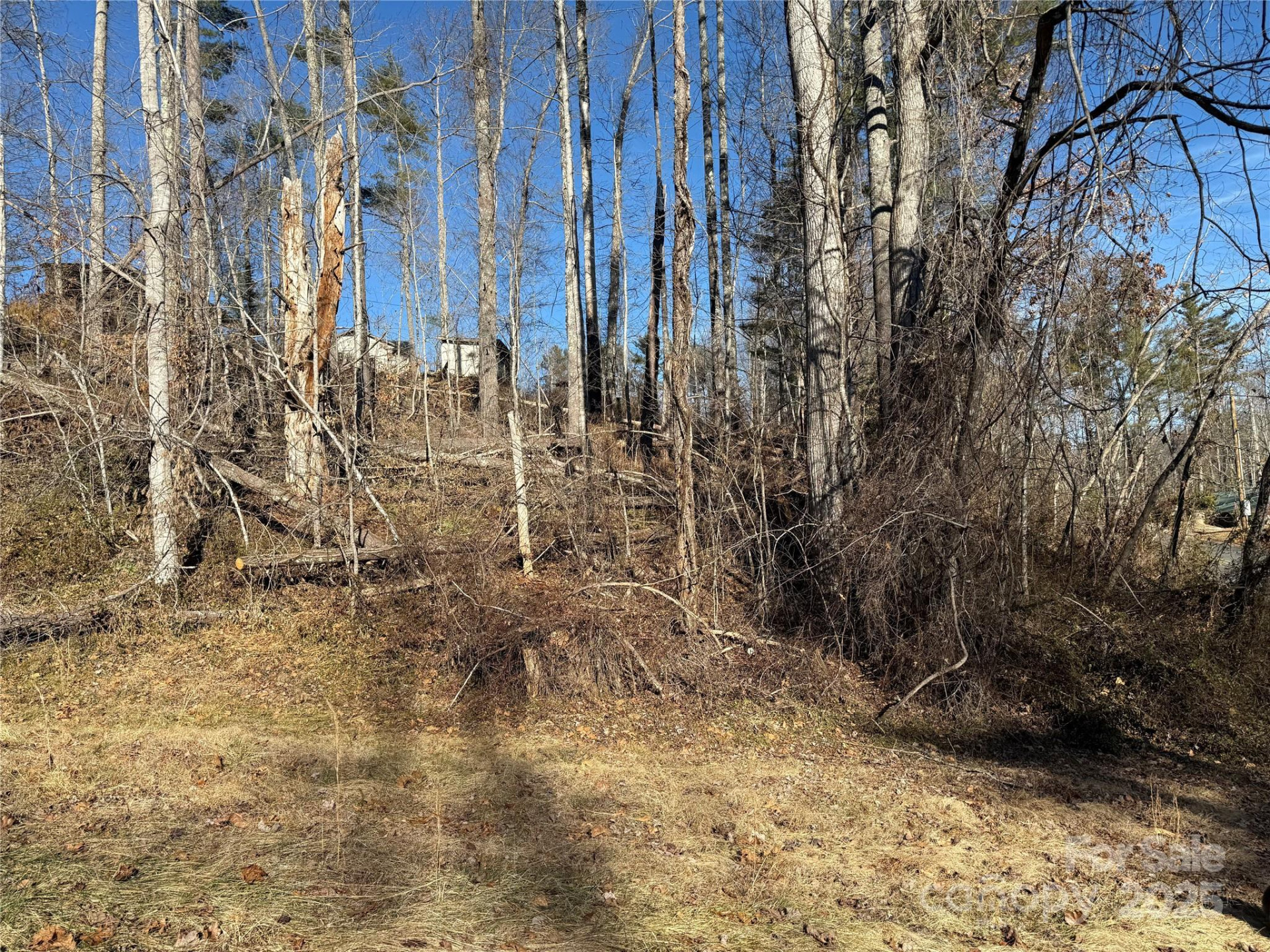 TBD George McKinney Circle - Photo 5