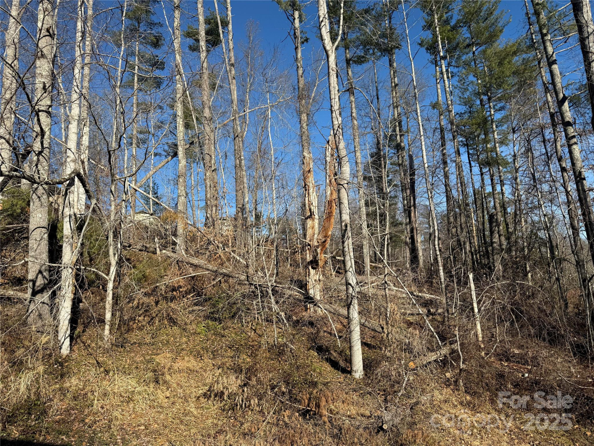 TBD George McKinney Circle - Photo 7