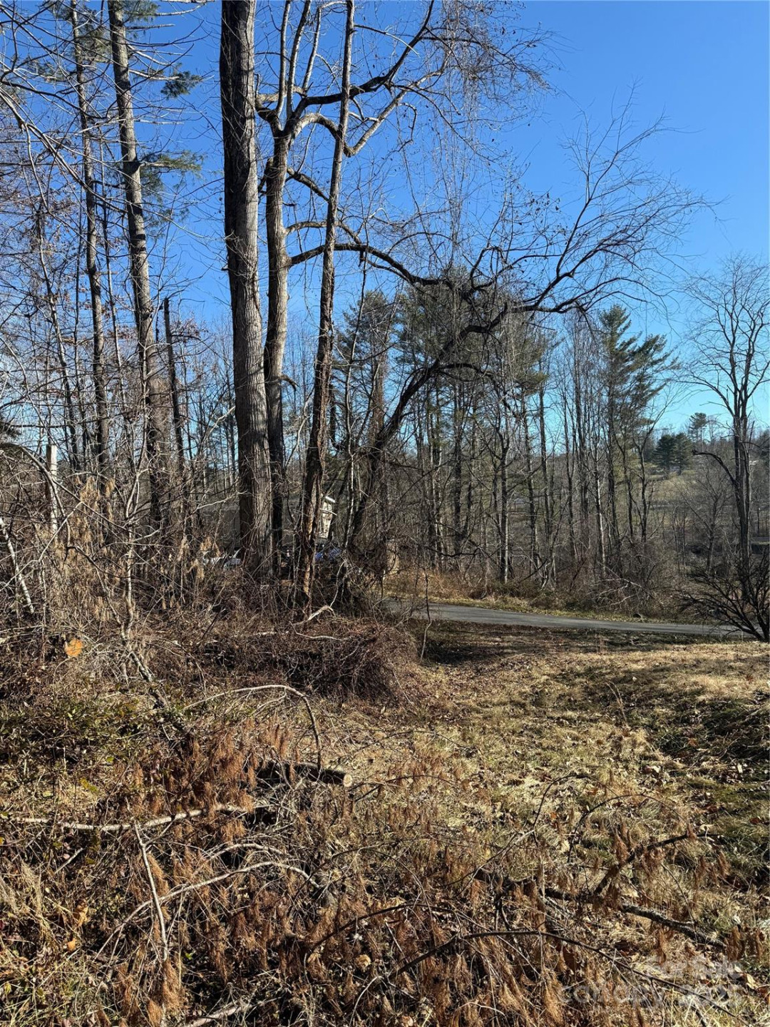 TBD George McKinney Circle - Photo 8