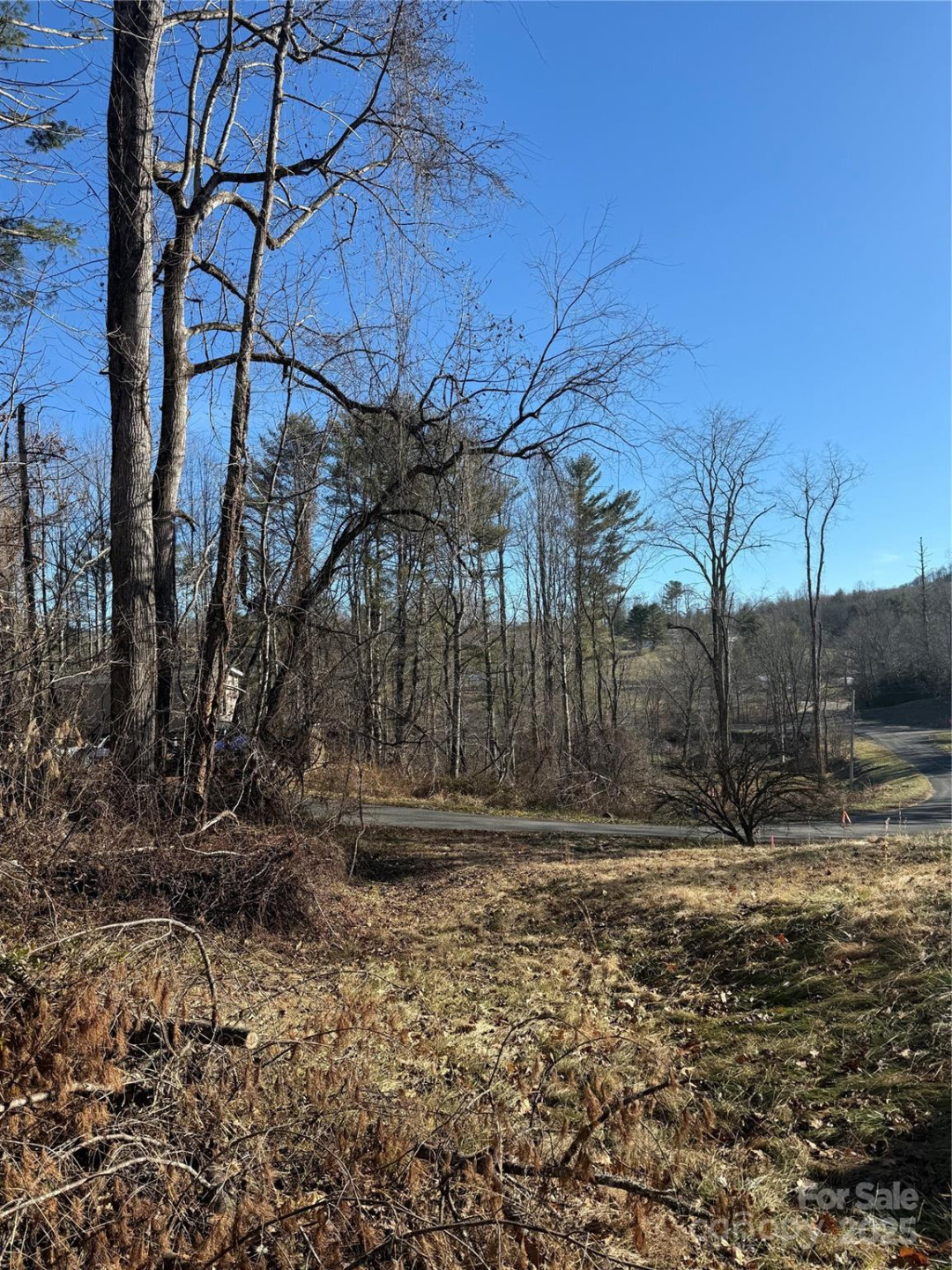 TBD George McKinney Circle - Photo 9