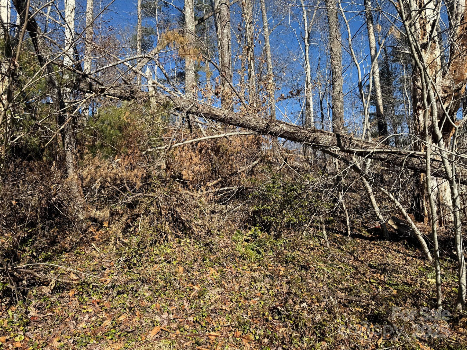 TBD George McKinney Circle - Photo 10