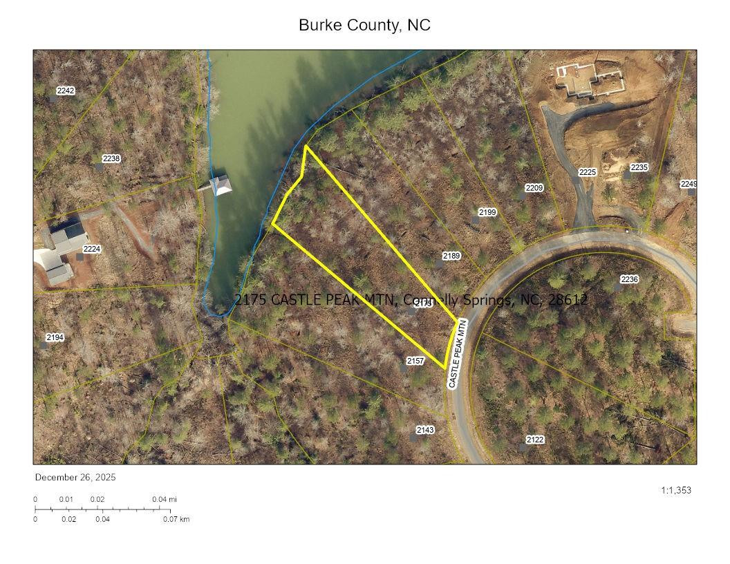 2175 Castle Peak Mountain None #142