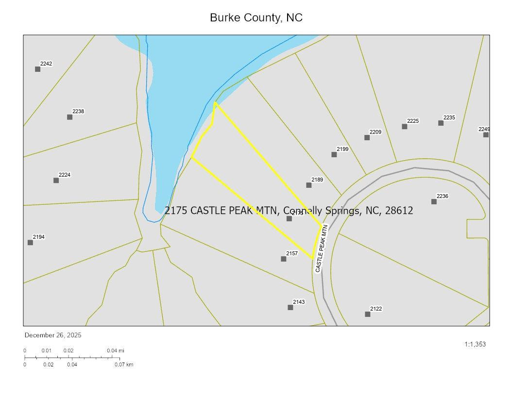 2175 Castle Peak Mountain None #142 - Photo 18