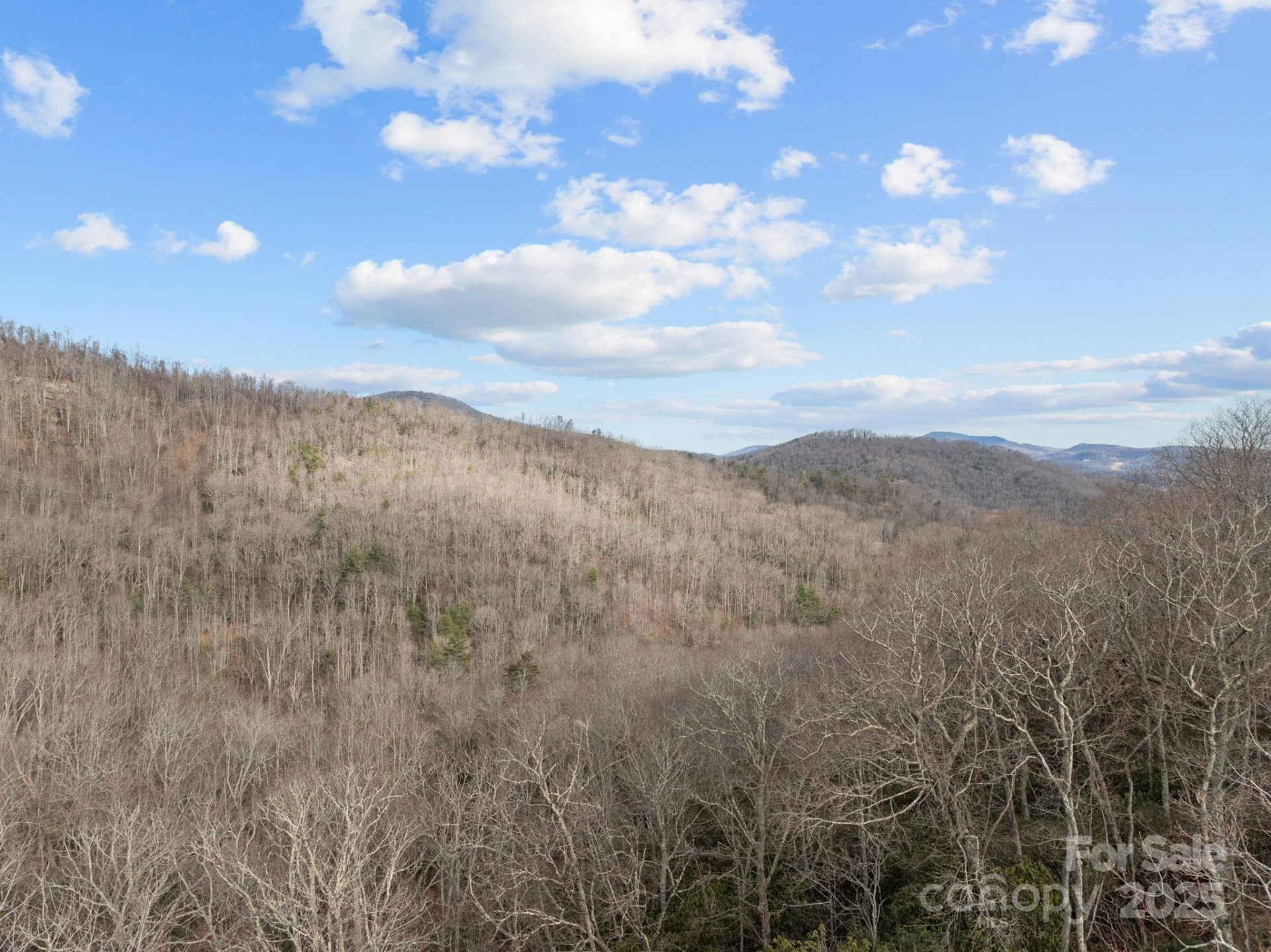 1443 Old Mill Road #8/9 - Photo 2