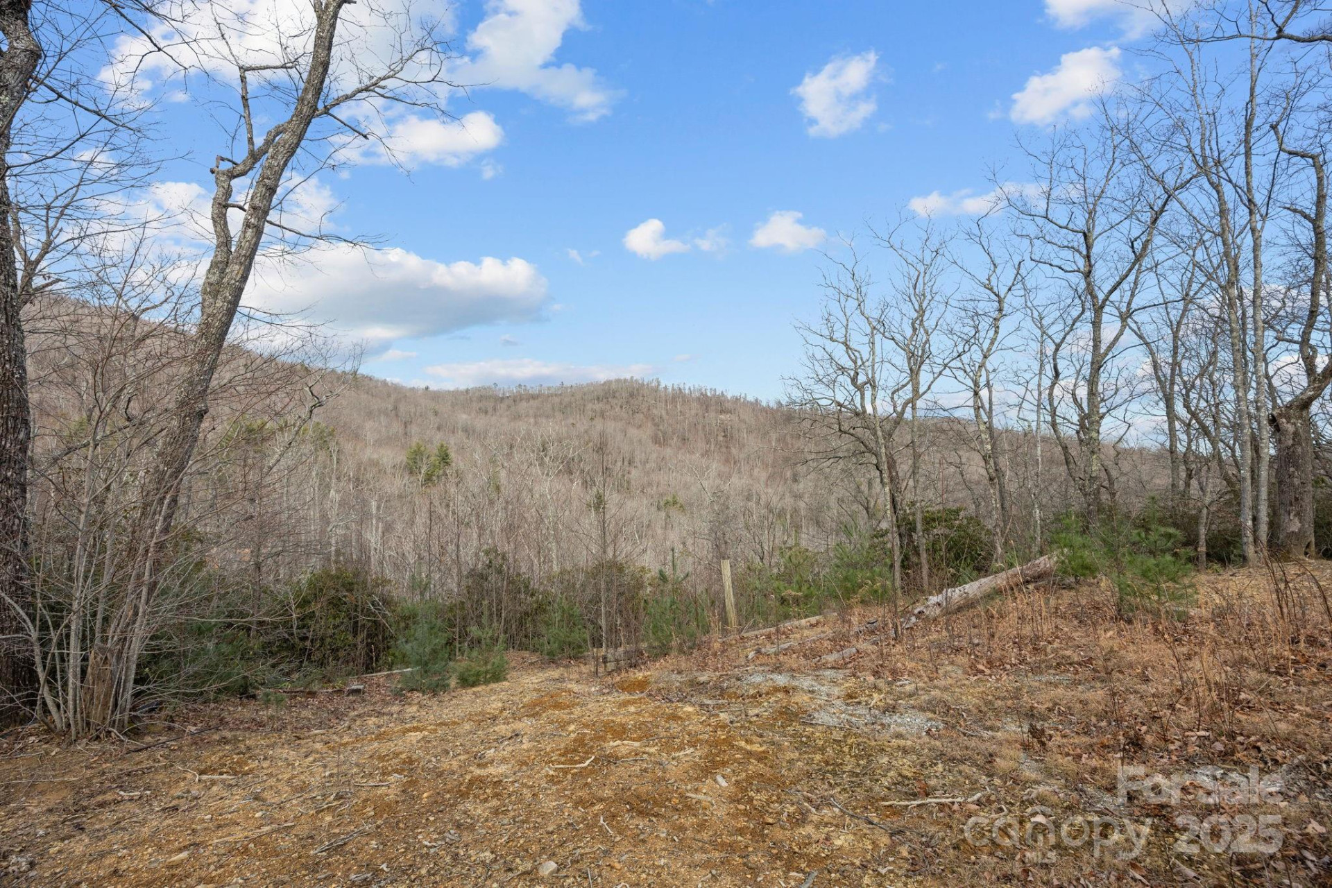 1443 Old Mill Road #8/9 - Photo 4