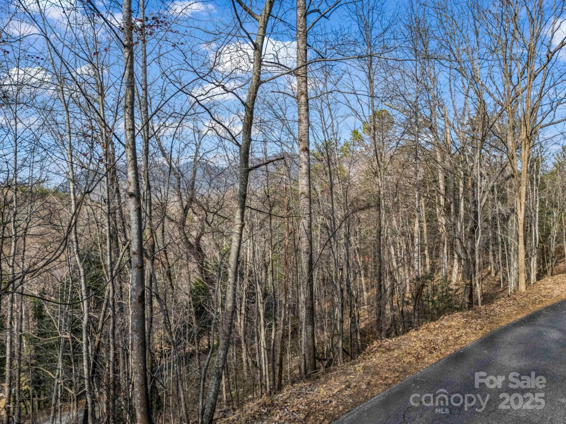 0000 Holmes Road - Photo 22