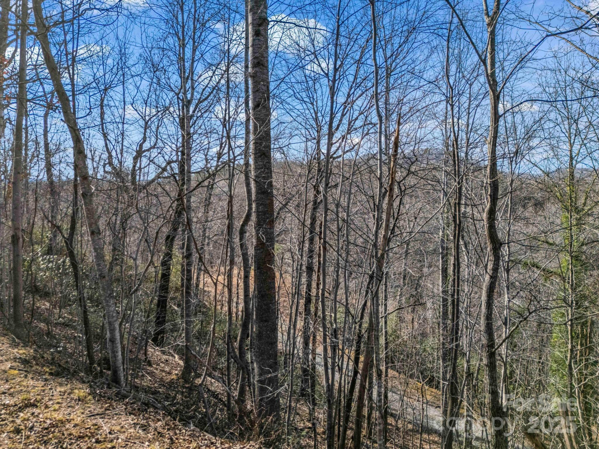 0000 Holmes Road - Photo 25