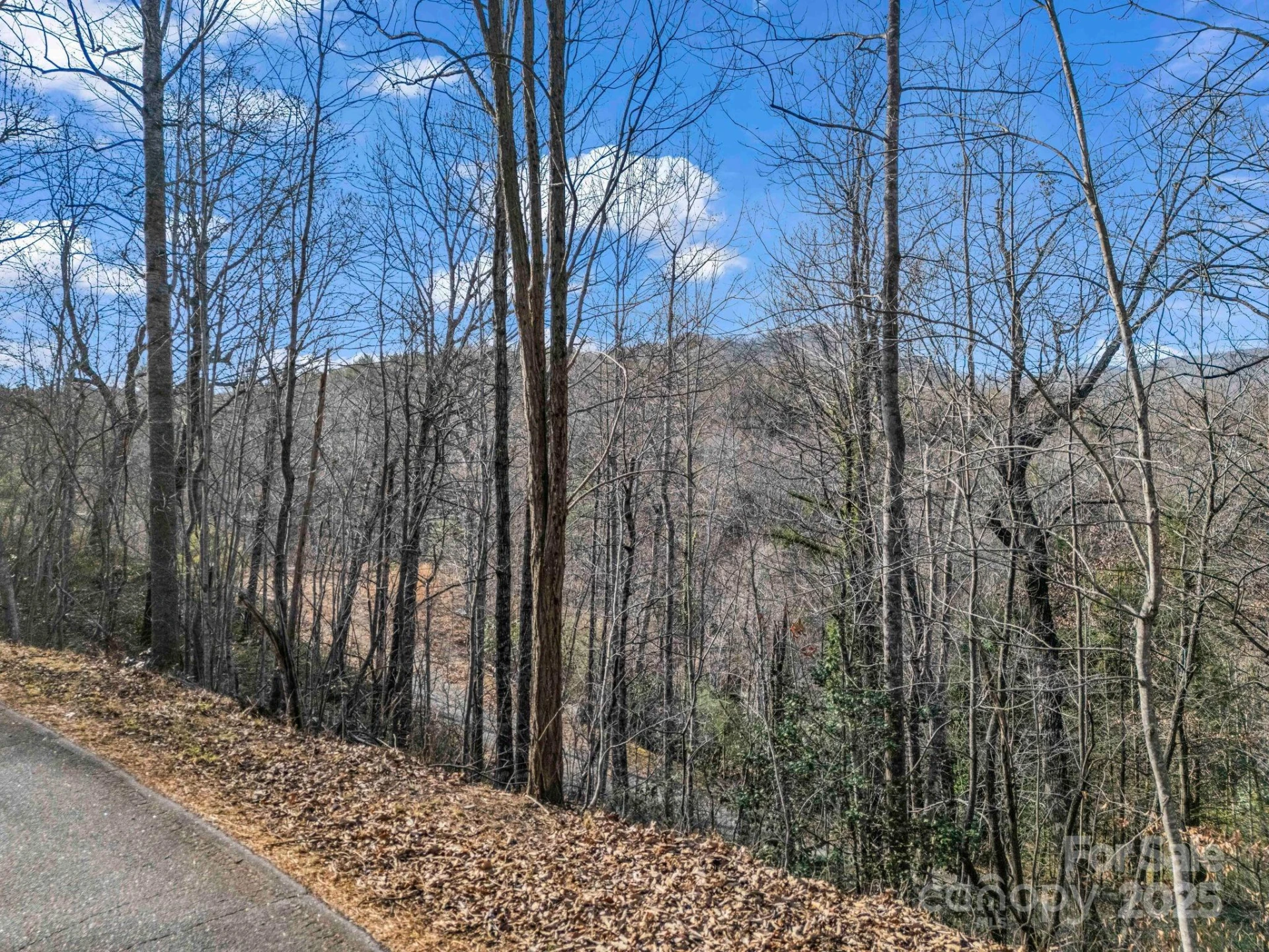 0000 Holmes Road - Photo 4
