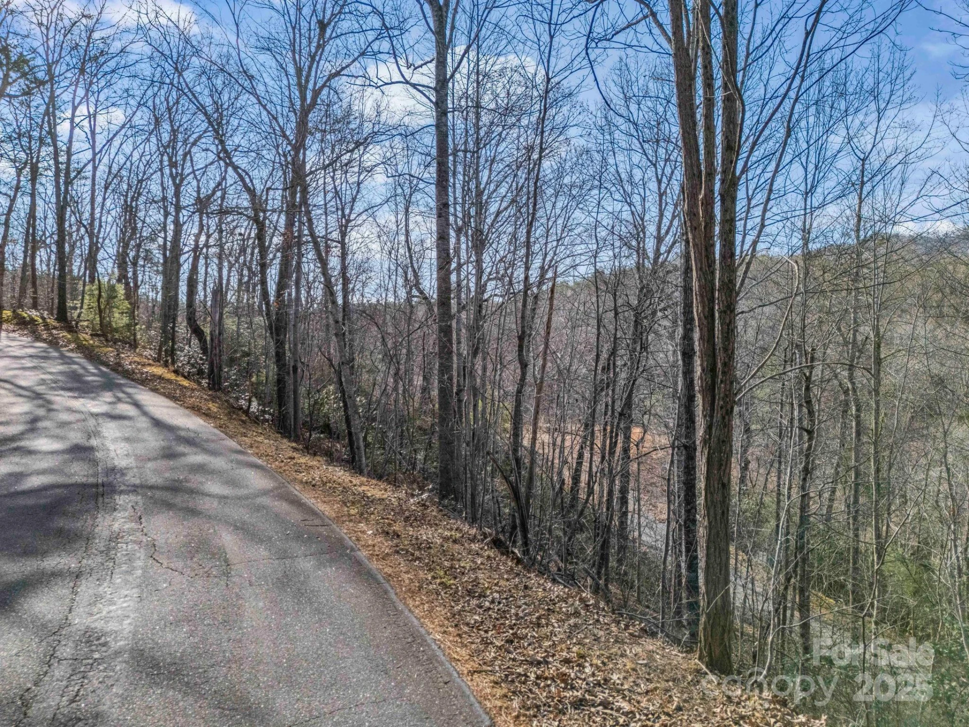 0000 Holmes Road - Photo 5