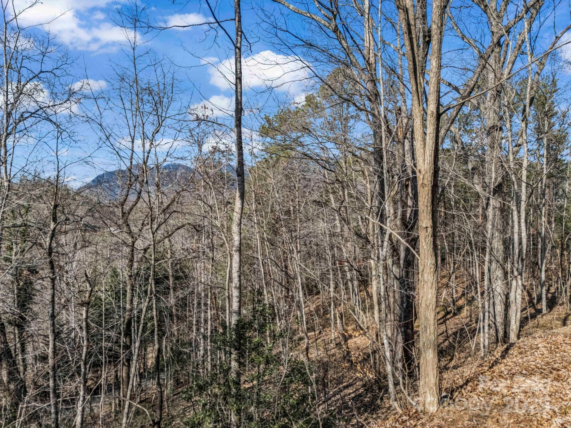 0000 Holmes Road - Photo 10