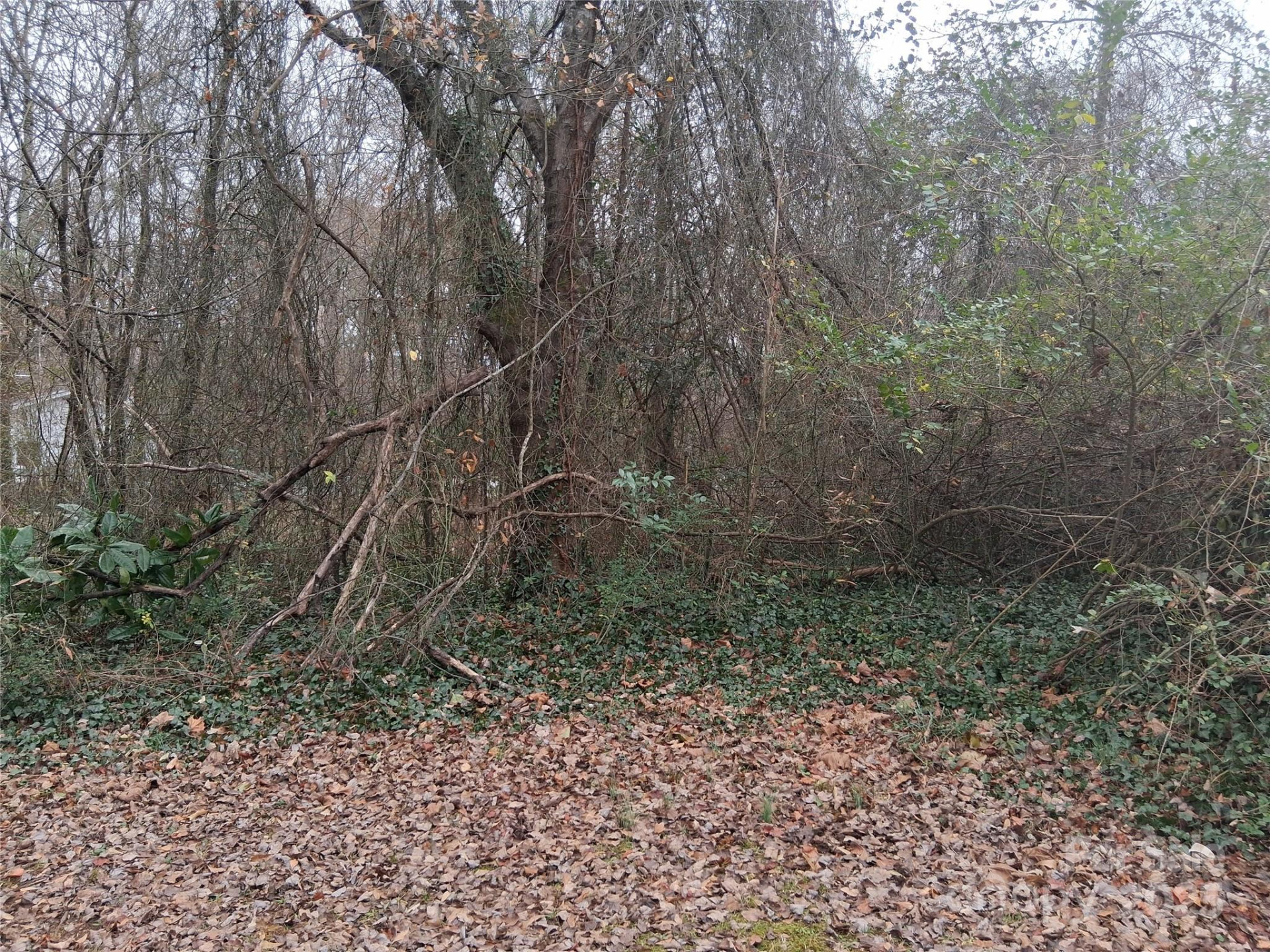 111 Parmer Street - Photo 4