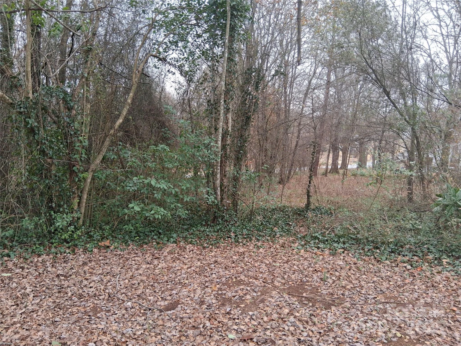 111 Parmer Street - Photo 5