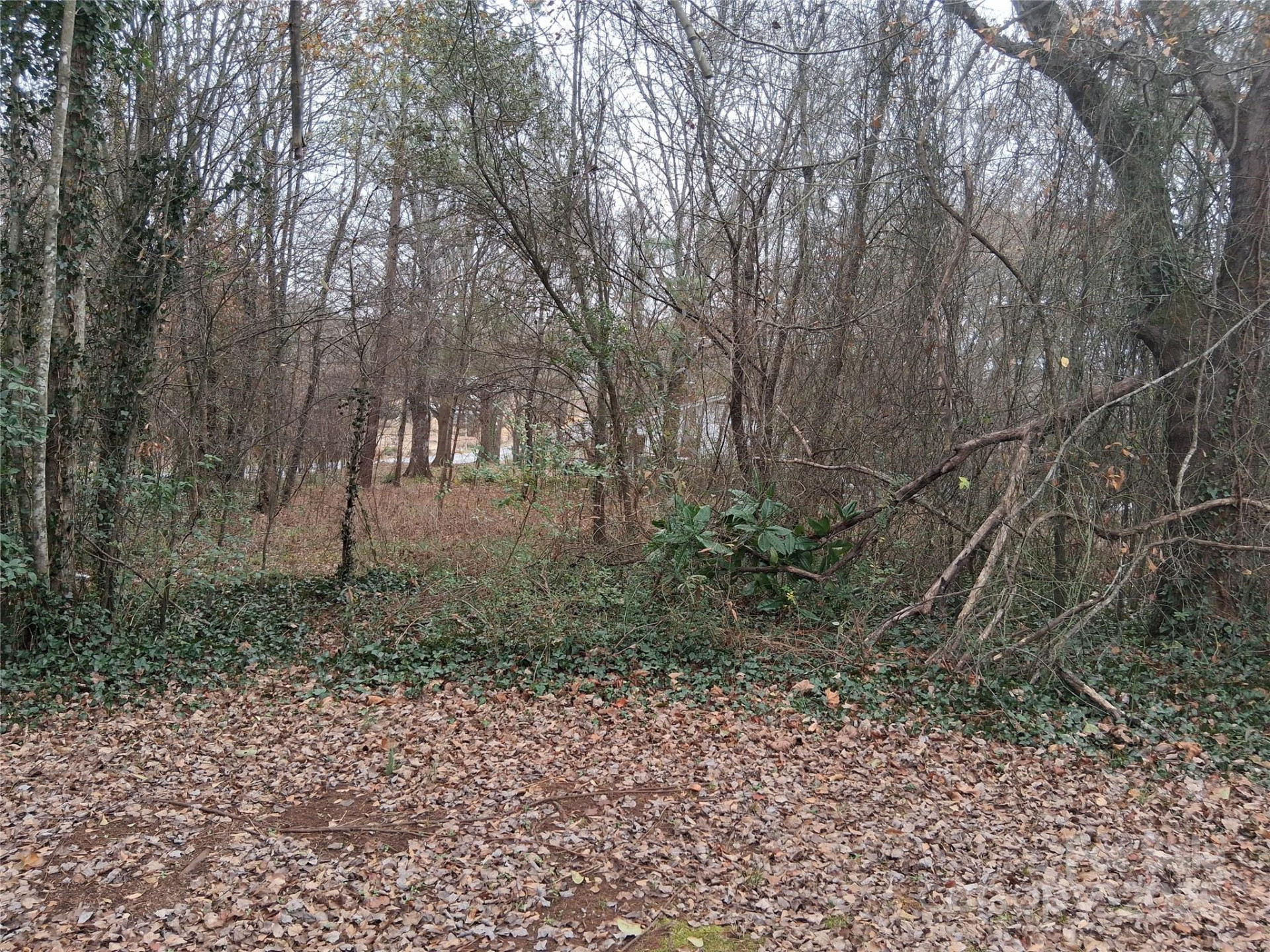 111 Parmer Street - Photo 6