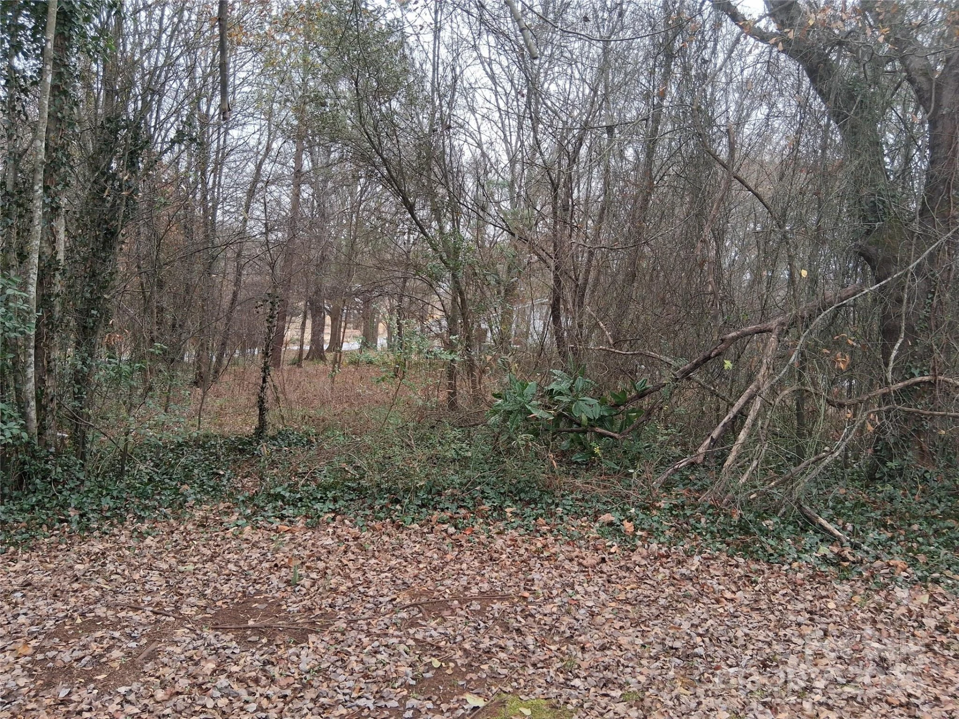 111 Parmer Street - Photo 6