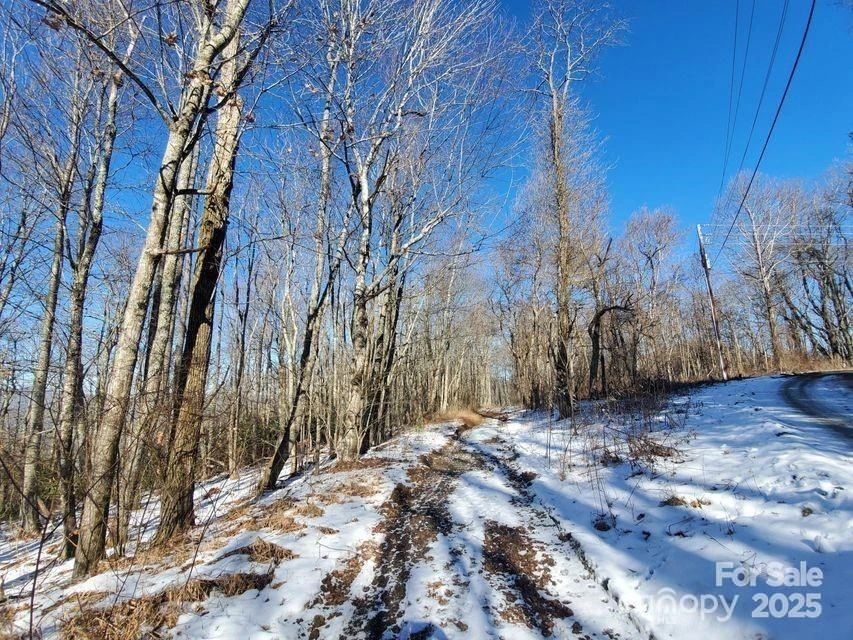 TBD Henredon Road - Photo 2