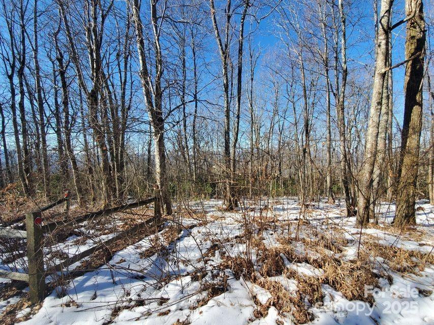 TBD Henredon Road - Photo 3