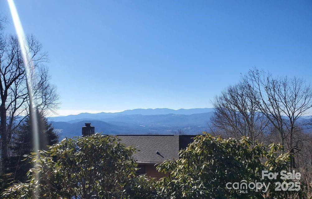 TBD Henredon Road - Photo 4