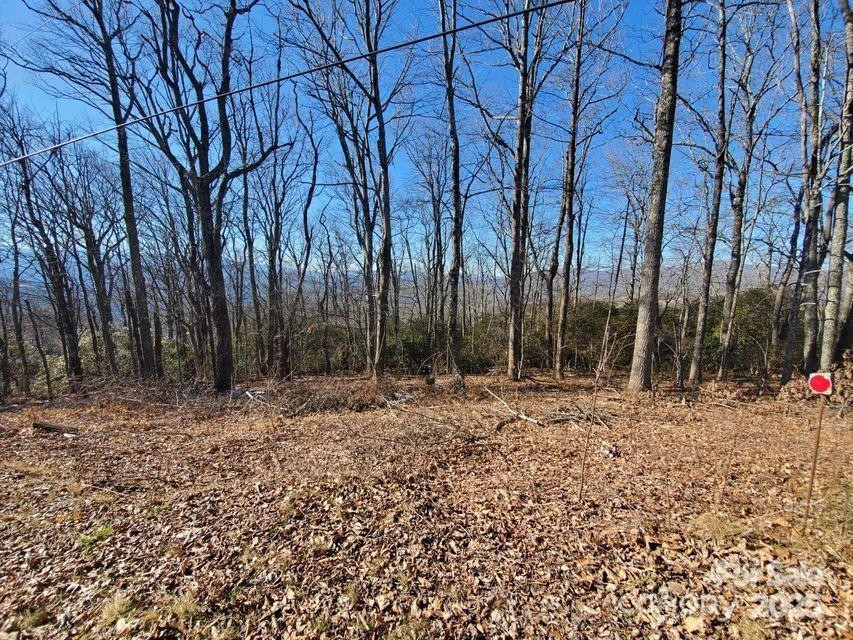 TBD Henredon Road - Photo 5