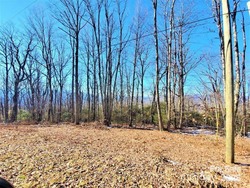 TBD Henredon Road - Photo 6