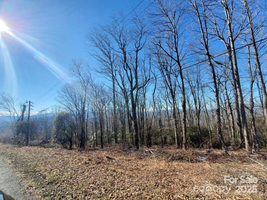 TBD Henredon Road - Photo 8