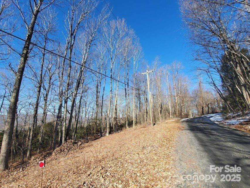 TBD Henredon Road - Photo 9