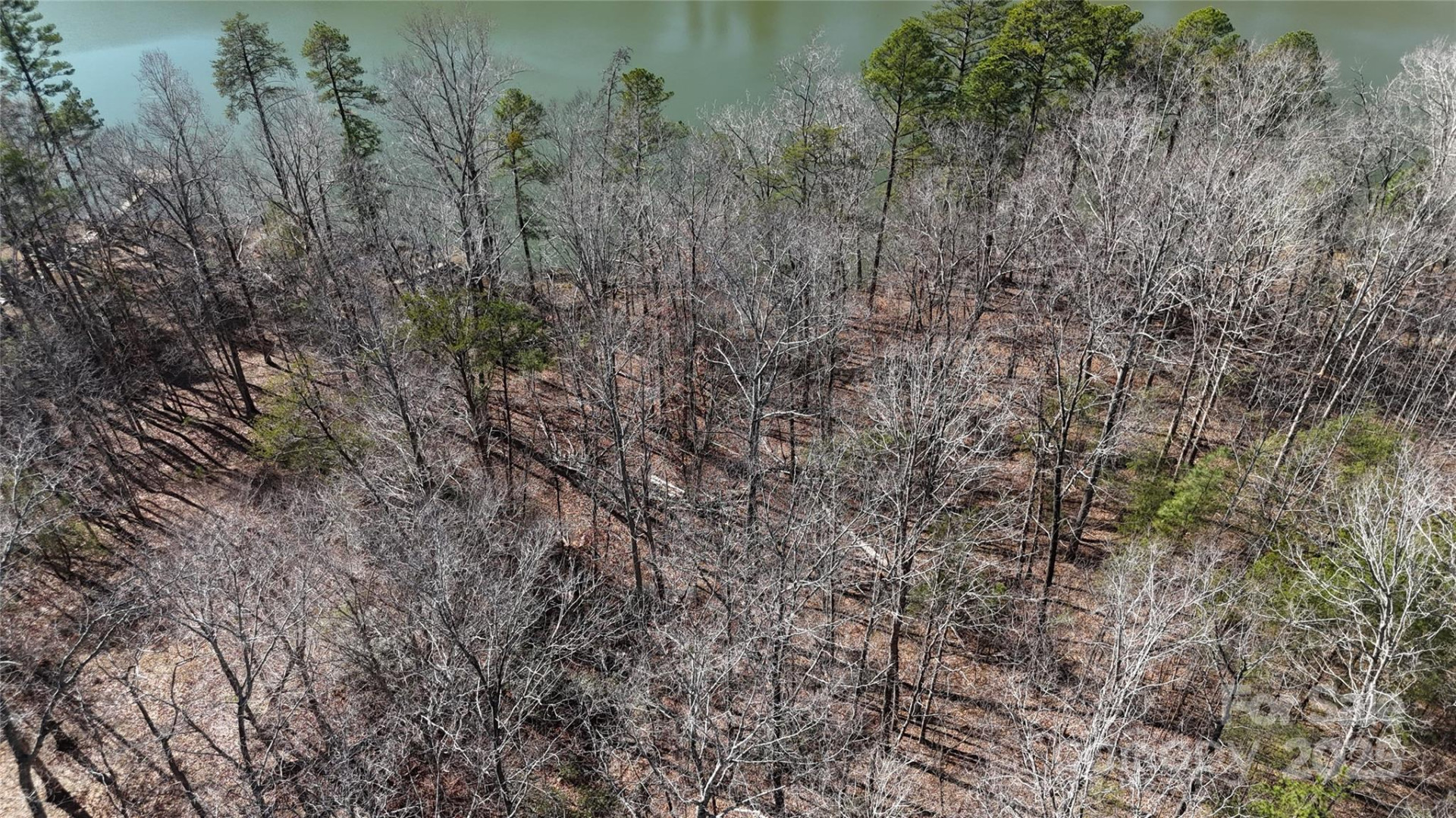 0 Parkway North Road #Lot 7 - Photo 6