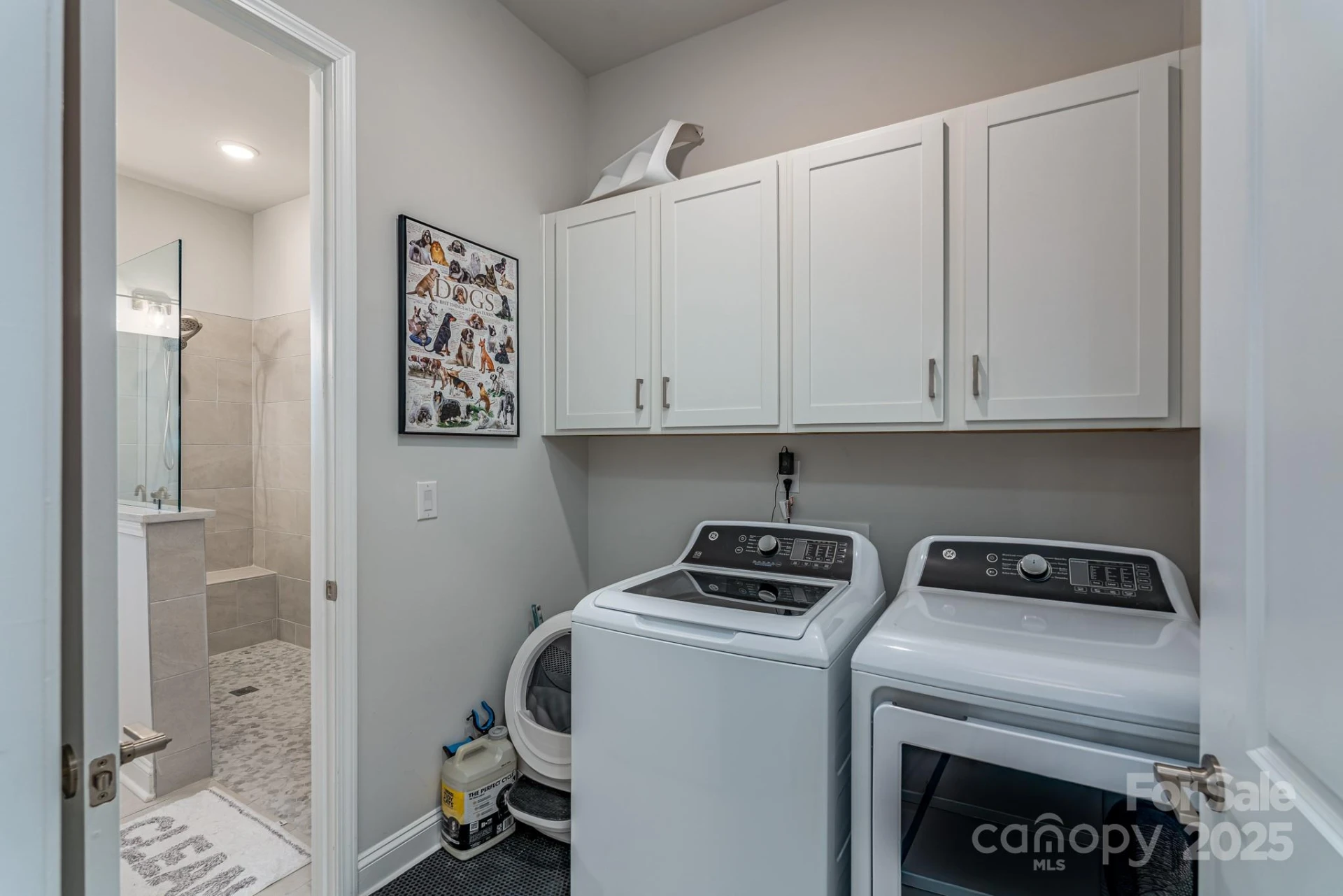 1038 Idyllic Lane - Photo 23