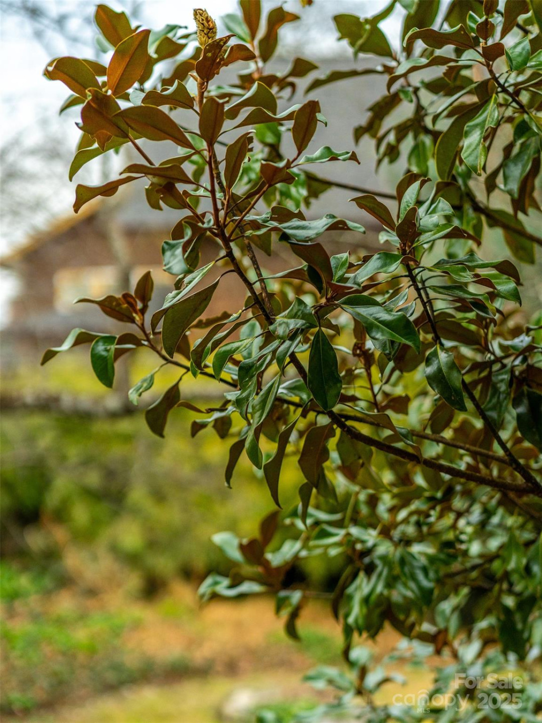 12 Bearden Avenue - Photo 40