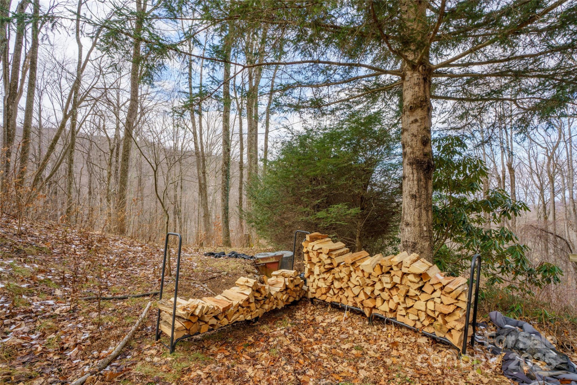 210 Bear Pen Road - Photo 34