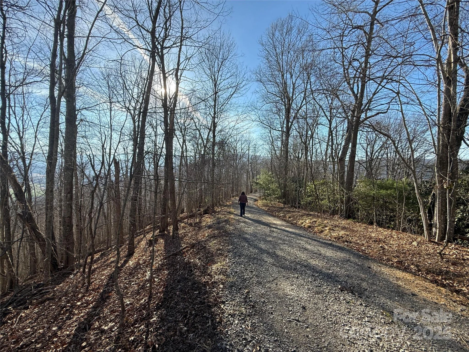 18,19,20,21 Brer Rabbit Trail #18,19,20,21
