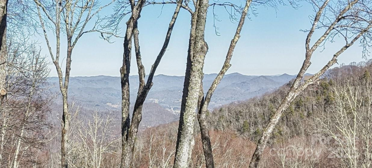 102 Iga Trail - Photo 2