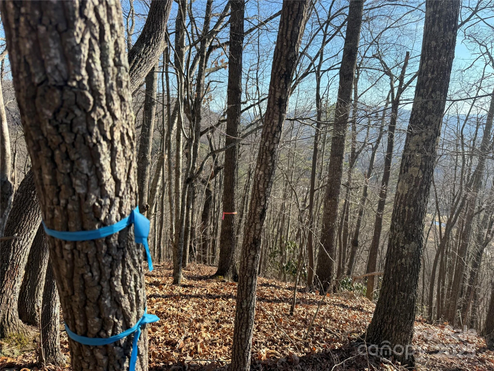Lot 12 Bernies Trail #12 - Photo 2
