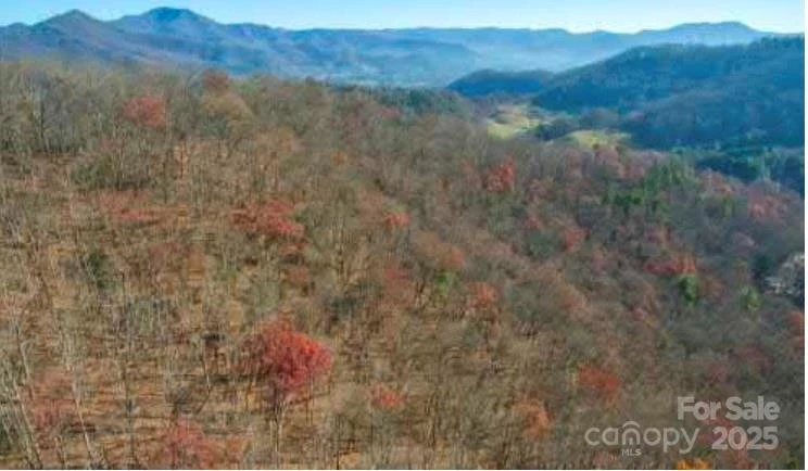 Lot 12 Bernies Trail #12 - Photo 3