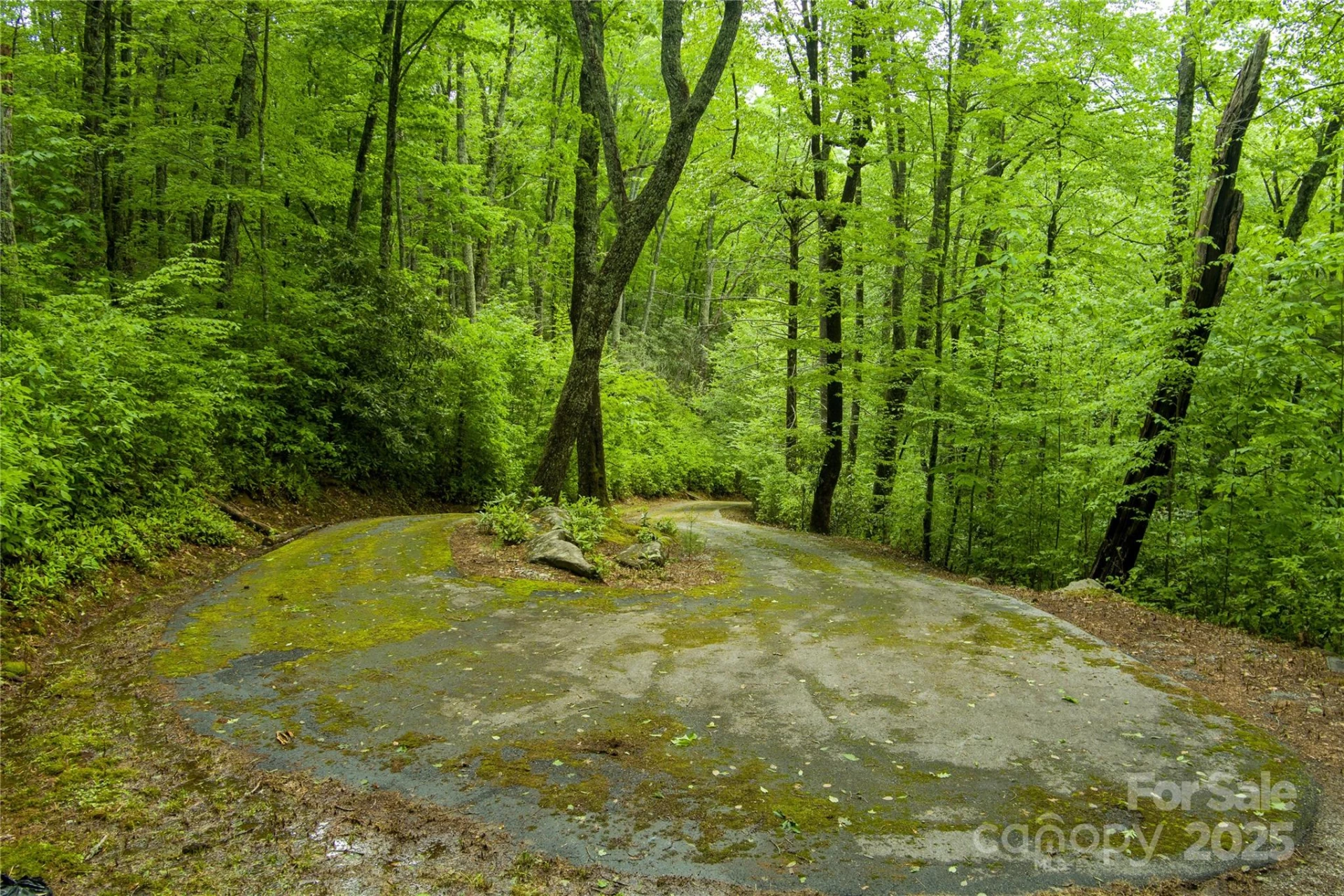 tbd Memory Lane - Photo 19