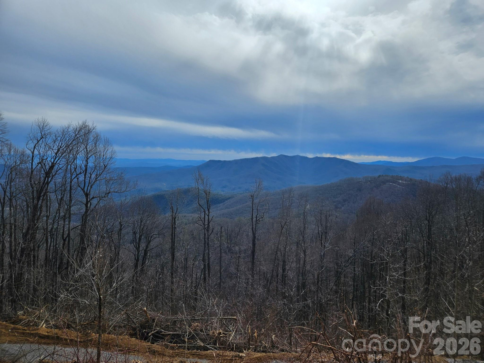 TBD Osborne Knob Road - Photo 2