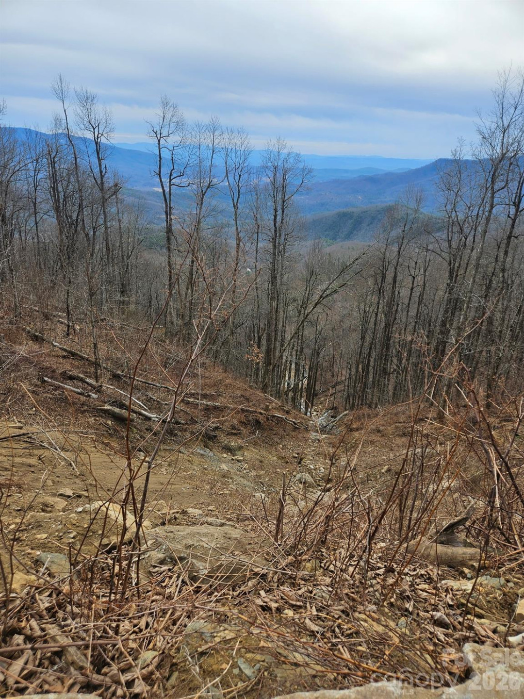 TBD Osborne Knob Road - Photo 11